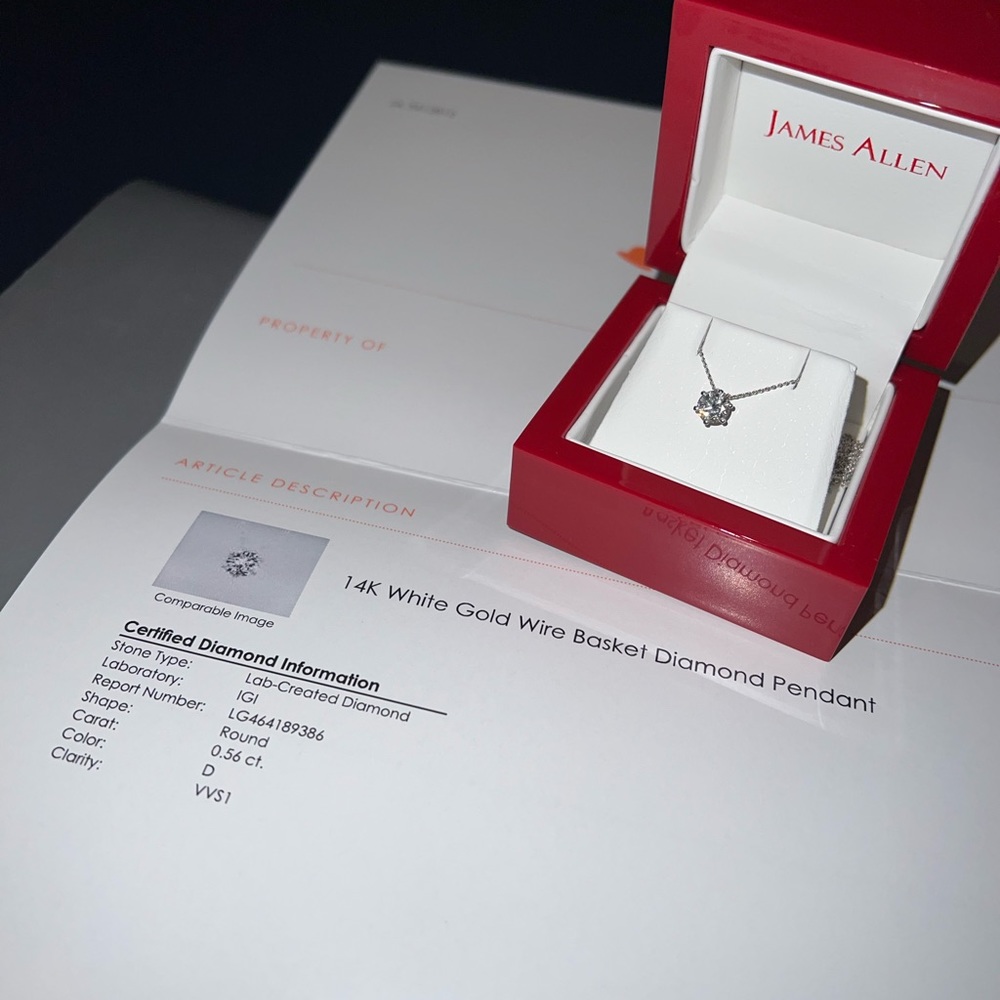 James Allen dainty diamond necklace (never worn)